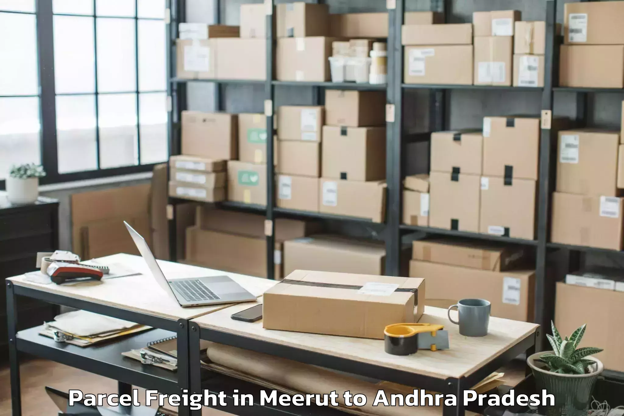 Professional Meerut to Ponnur Parcel Freight